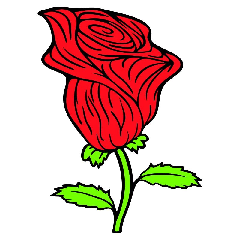Pretty Beautiful Rose Blossom Leaf Roses Romantic