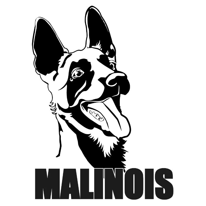Belgian Malinois Belgian Malinois
