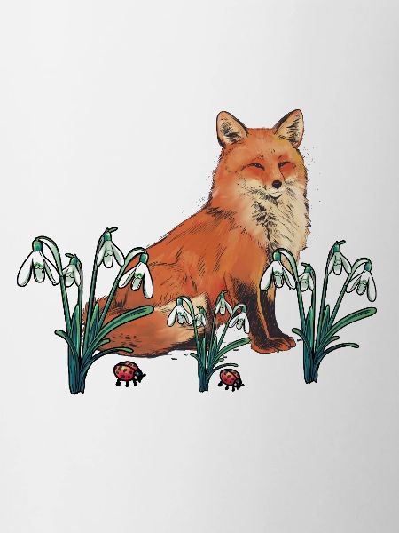 Fuchs Füchse Frühling Frühlingsanfang Kinder