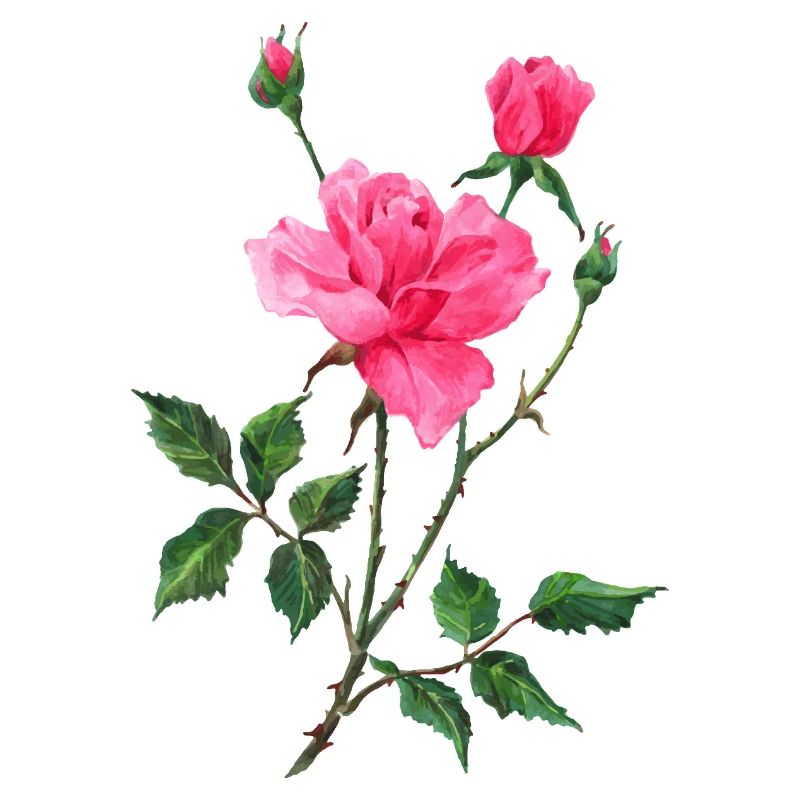 Fleur