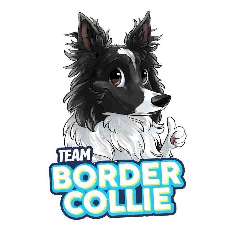 TEAM Border Collie Poils Longs - Noir Bicolore
