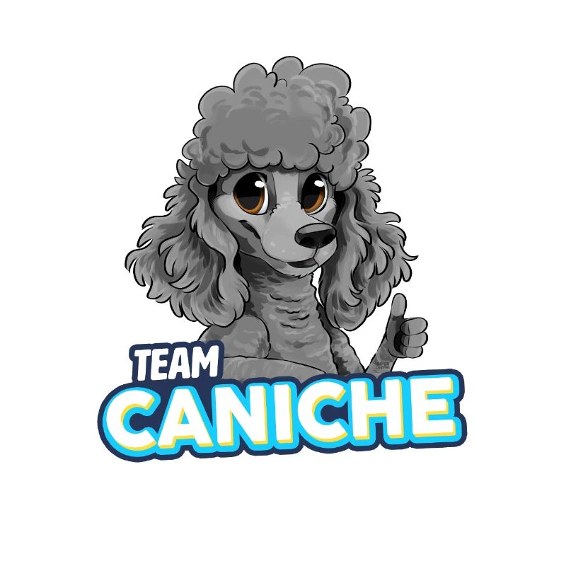 Caniche - Gris