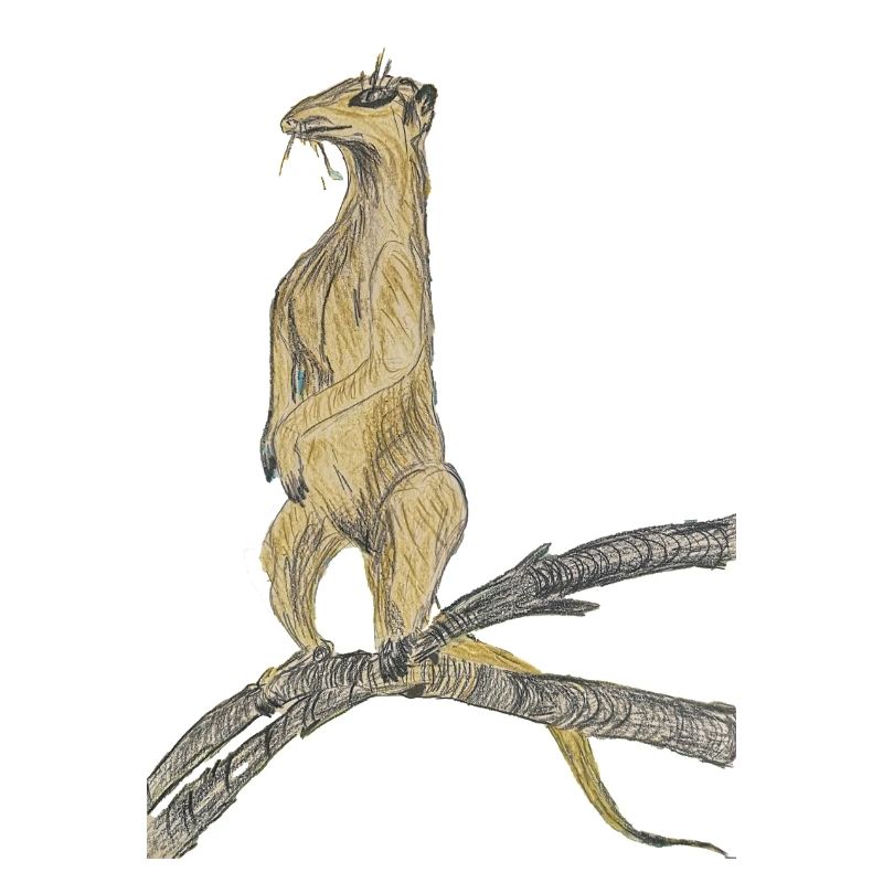 Fantasy birds on branches