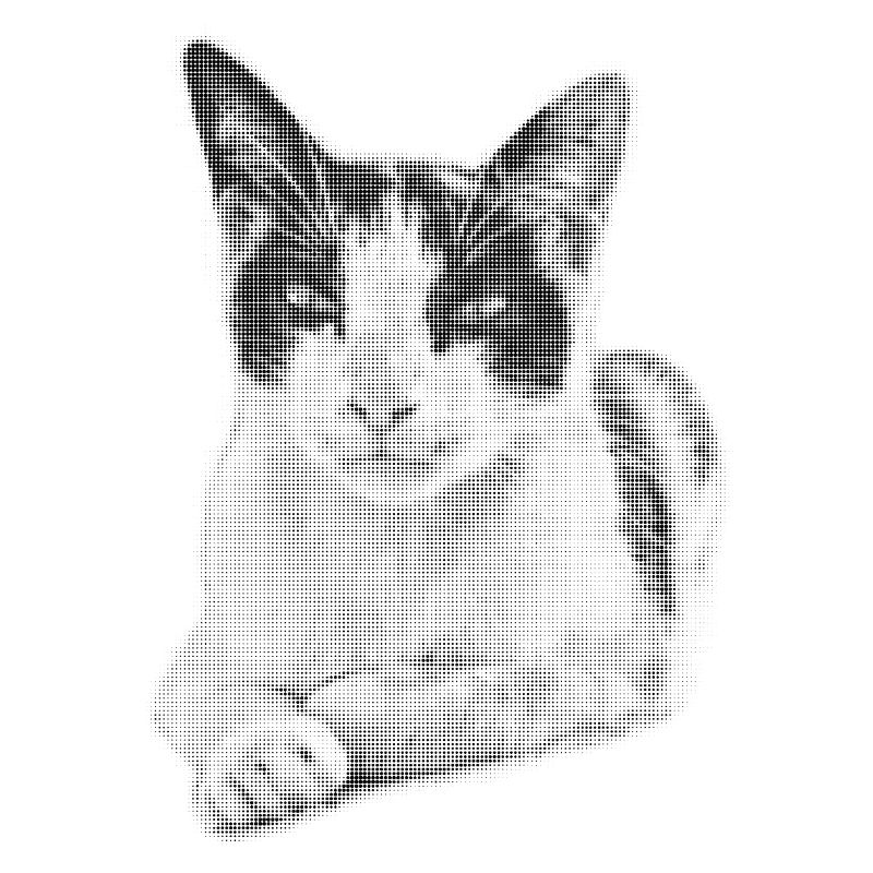 Demi-ton de Chat Calico