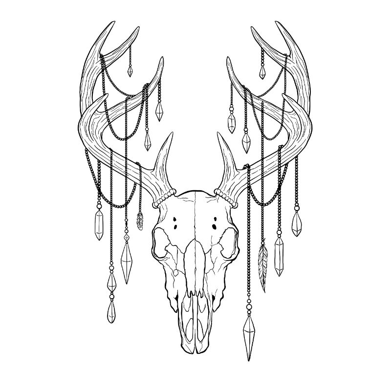 Deer antlers with crystals