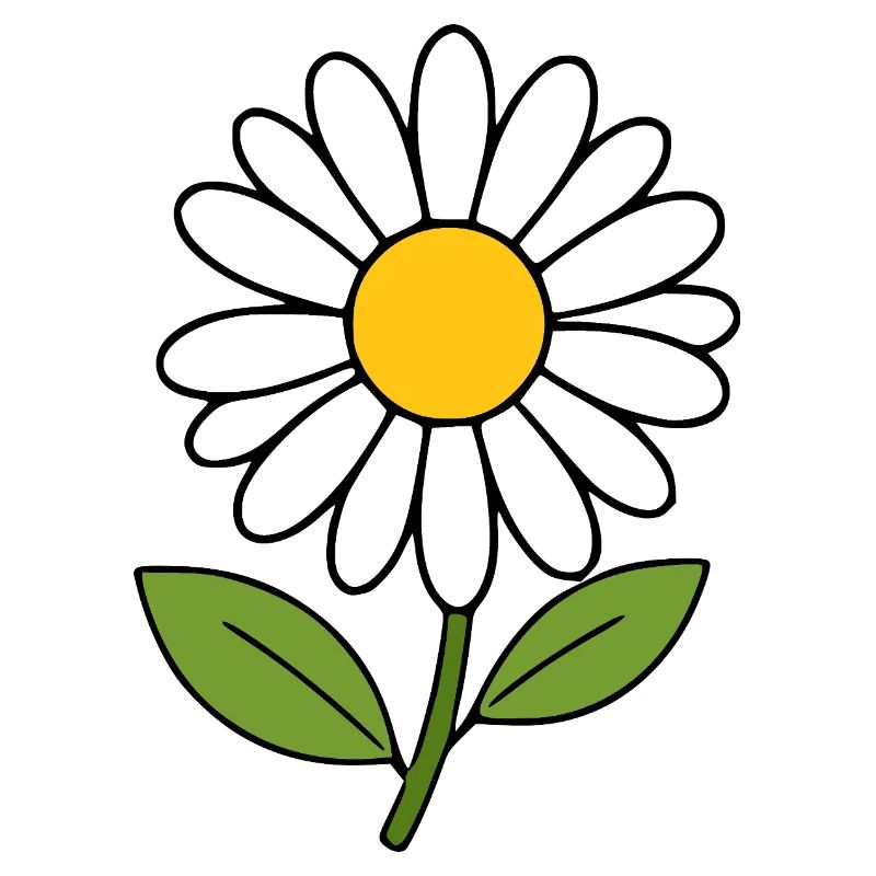 Fleur blanche Blanche Fleur Marguerite