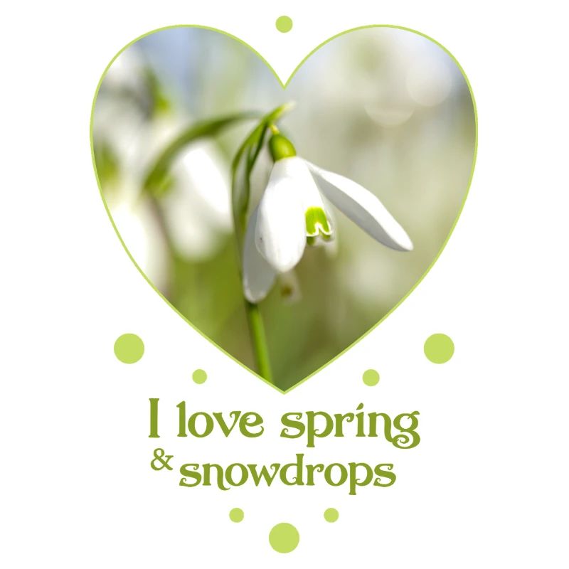 Heart design snowdrop spring i love spring