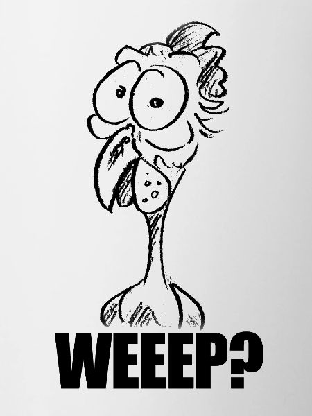 WEEEP? Baffled Chicken Head – Humor