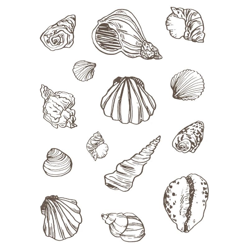MOULES