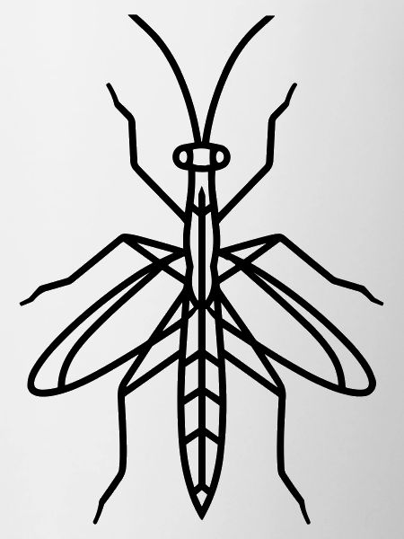 Stick-Insekt