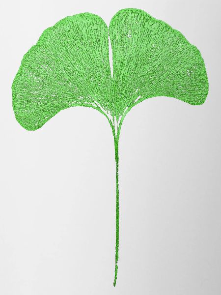 Gingko Blatt