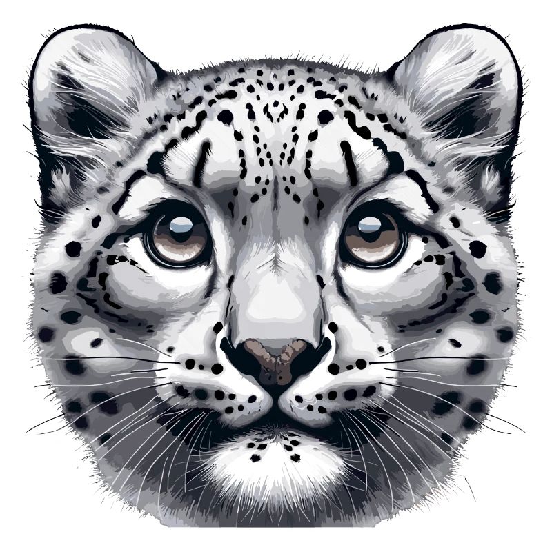 Snow Leopard Leopard White Leopard