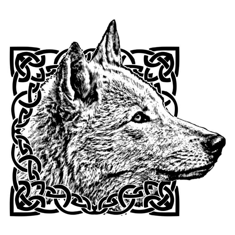 Wolf grey