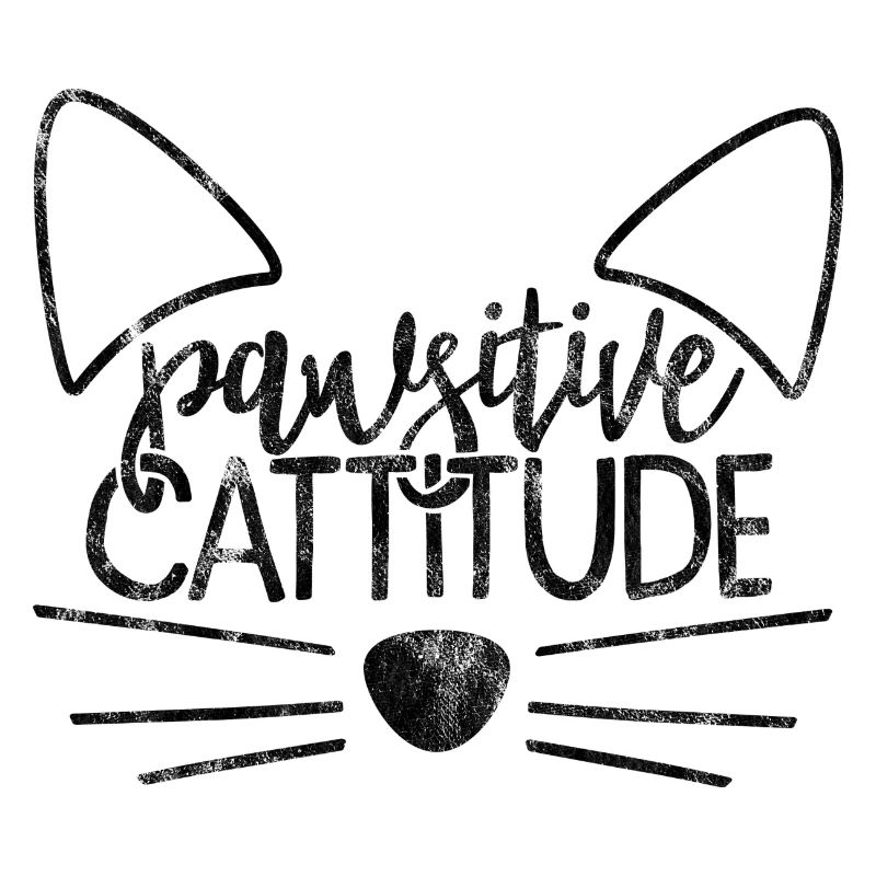 pawsitive cattitude - Drôles de dictons de chat