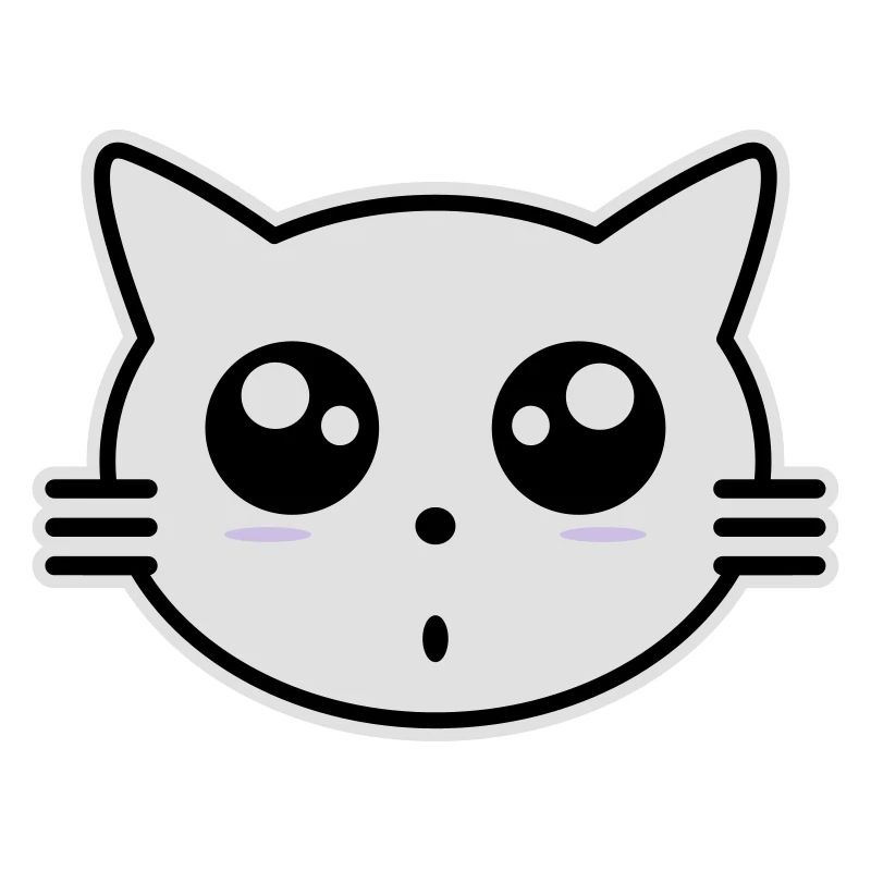 chat