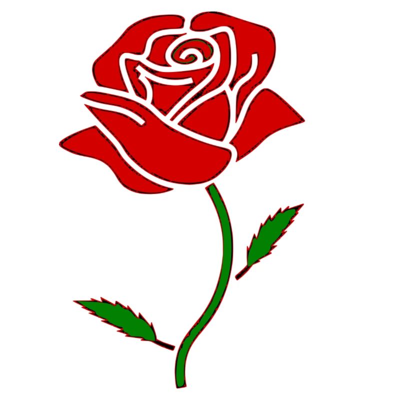 Rose rouge
