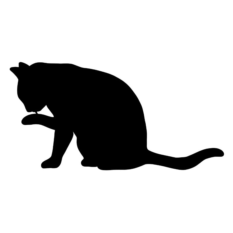 Patte de chat lèche
