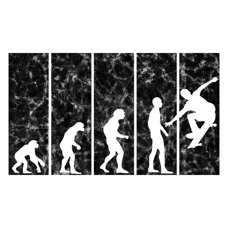 Skateboarder Skateboard Skater Skate Evolution