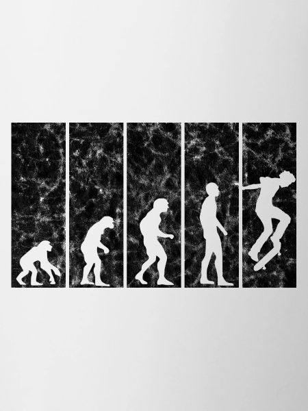Evolution Skateboarder Skateboard Skater Skate
