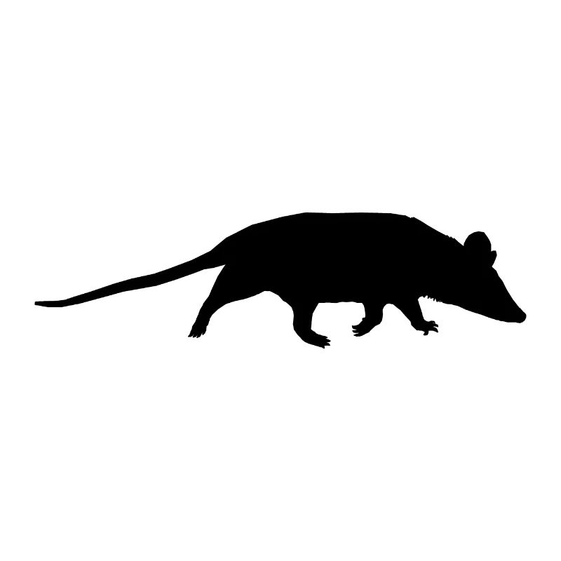 Possum silhouette black