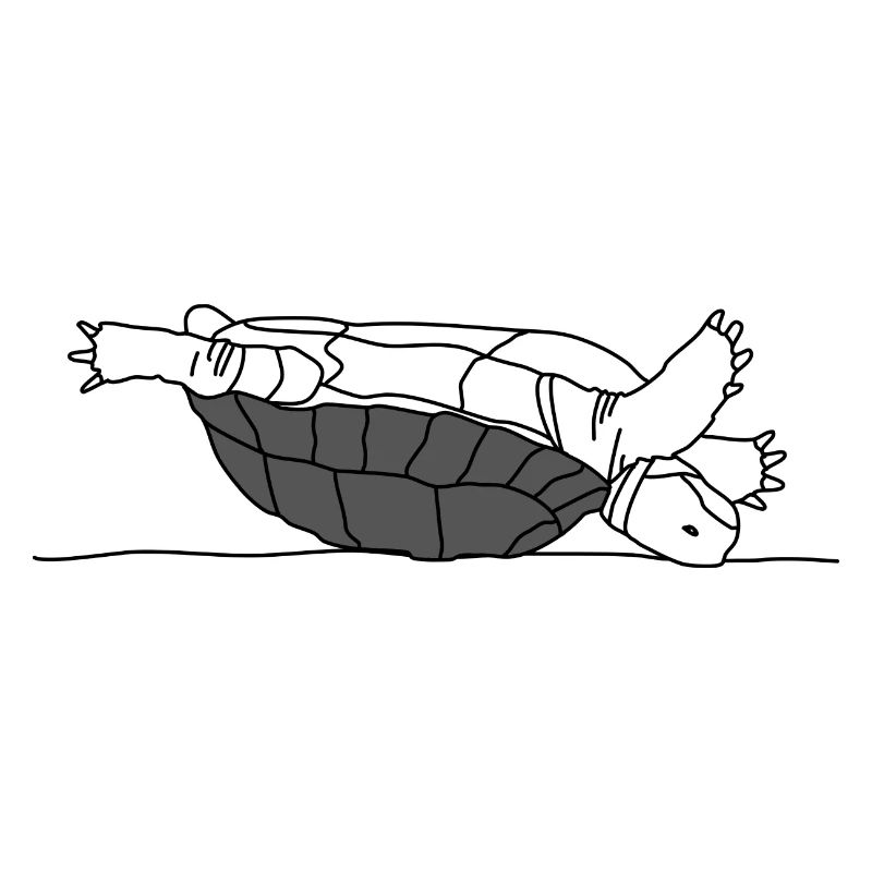 Turtle Lazy Fail Challenge Life