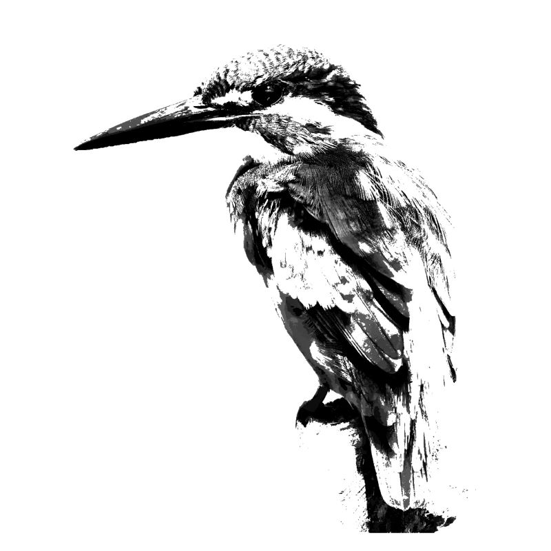 Oiseau de glace