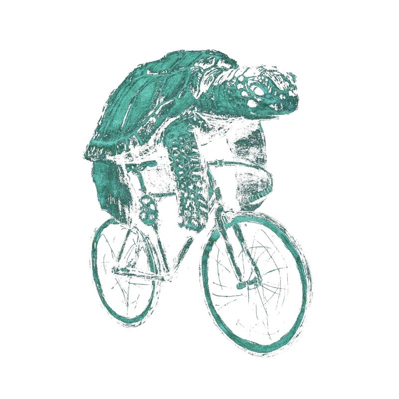 Turtle bicycle cyclist wheel