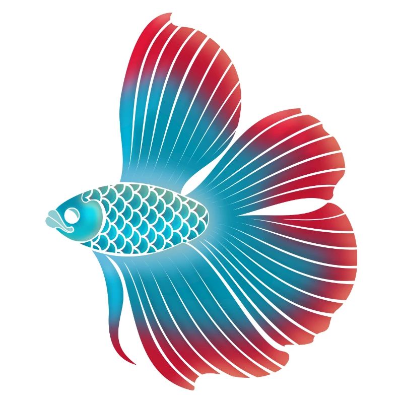 Betta