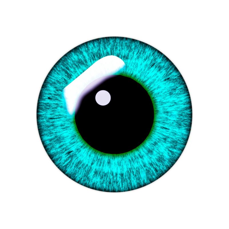 Oeil