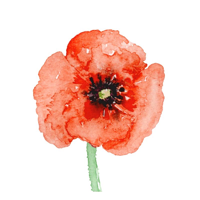 Coquelicot