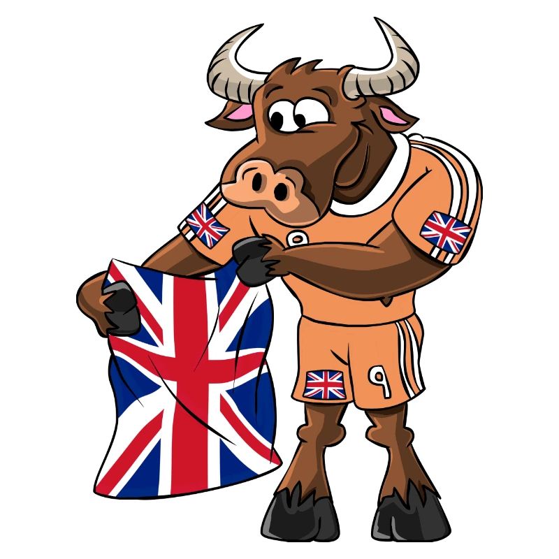 Angleterre Fan Taureau