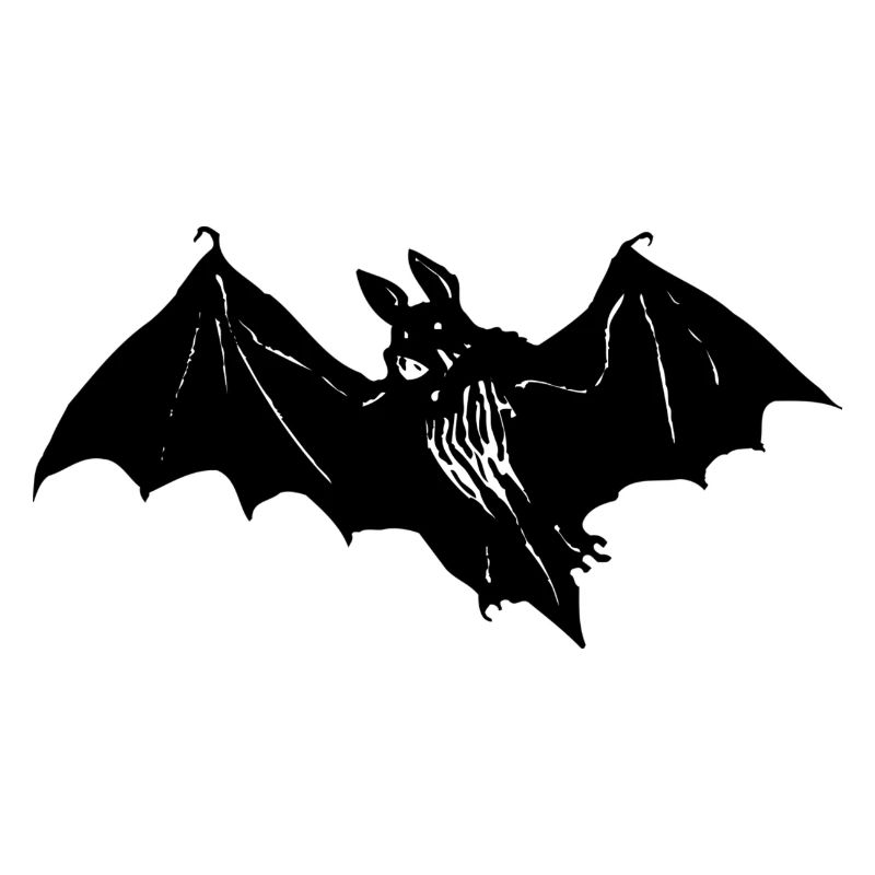 chauve-souris