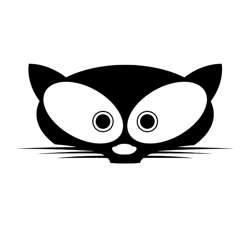 Katze Katzen cat cats