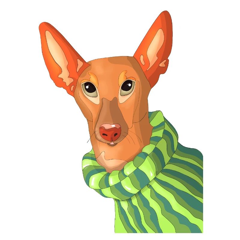 podenco