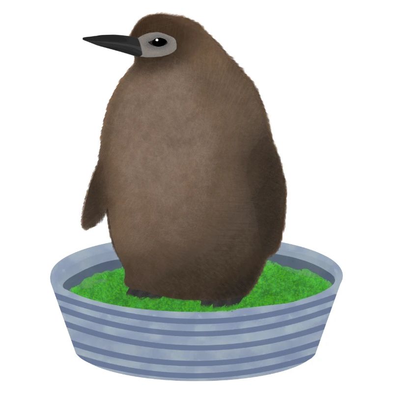 Pingouin pesto