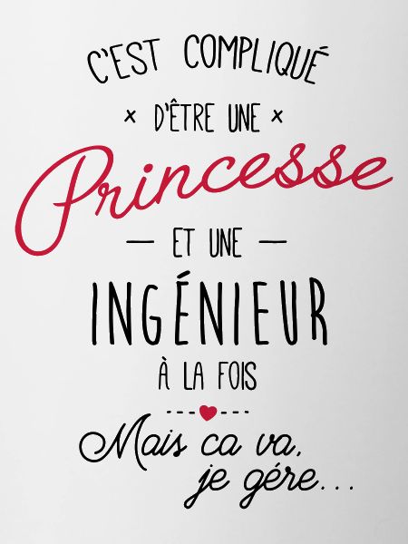 Princesse et ingénieur