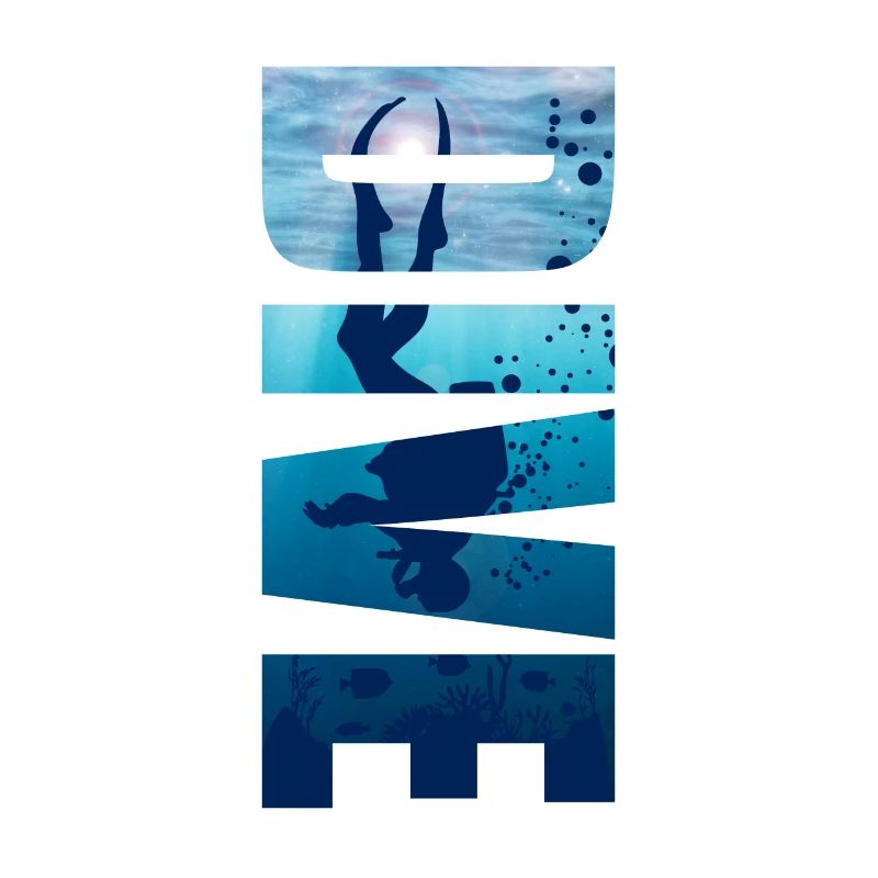 Diver Dive Divemaster Diving Diver Sea
