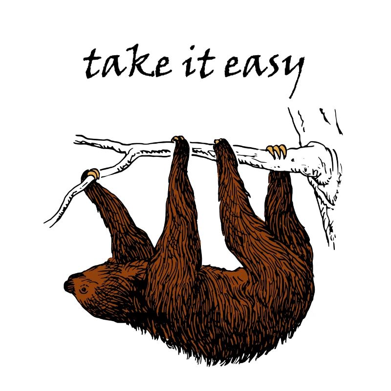 Sloth cute animal cute