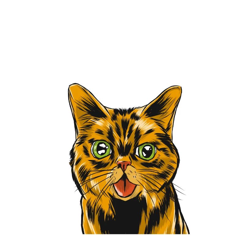 chat effronté être effronté