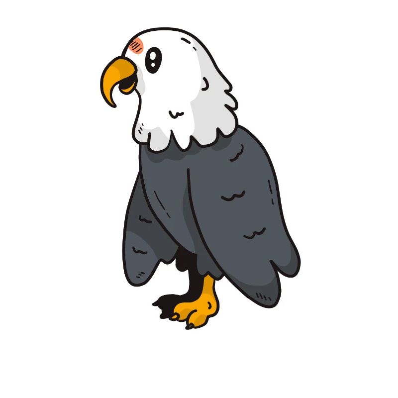 adler greifvogel süß bild