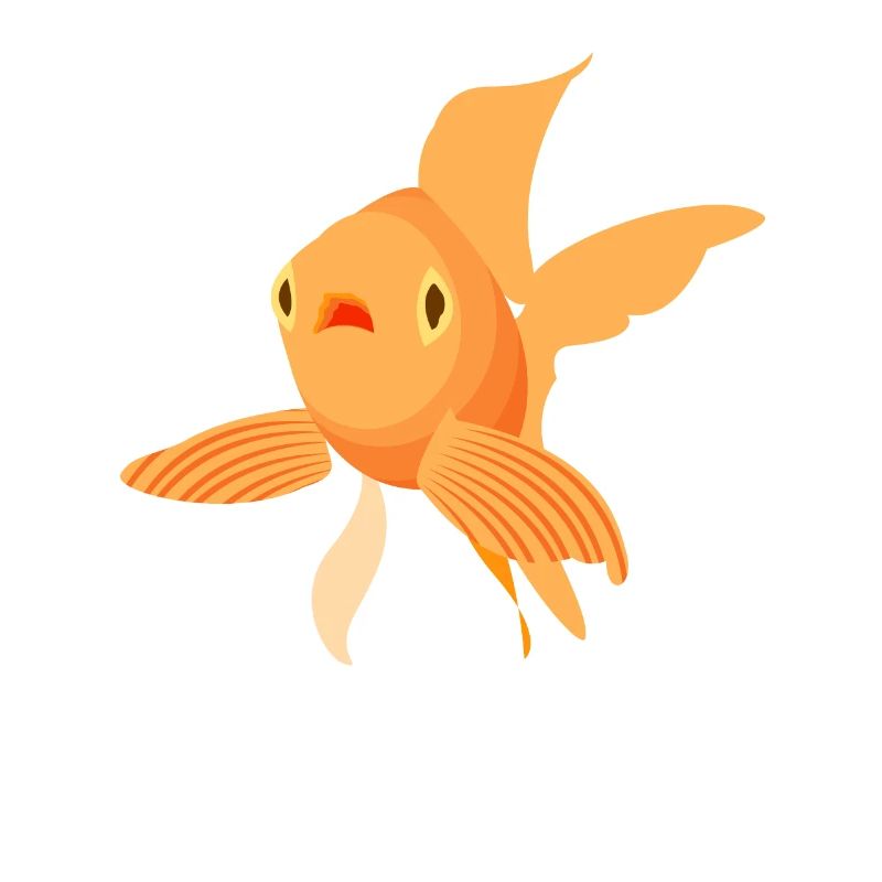 poisson rouge doux belle