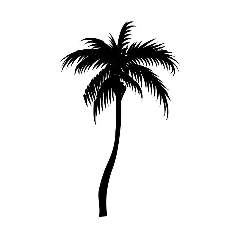 Palm tree palm