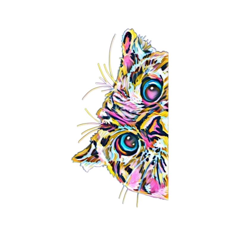 chat