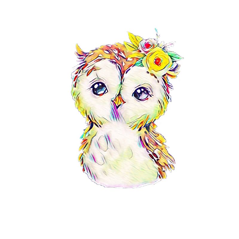 owl