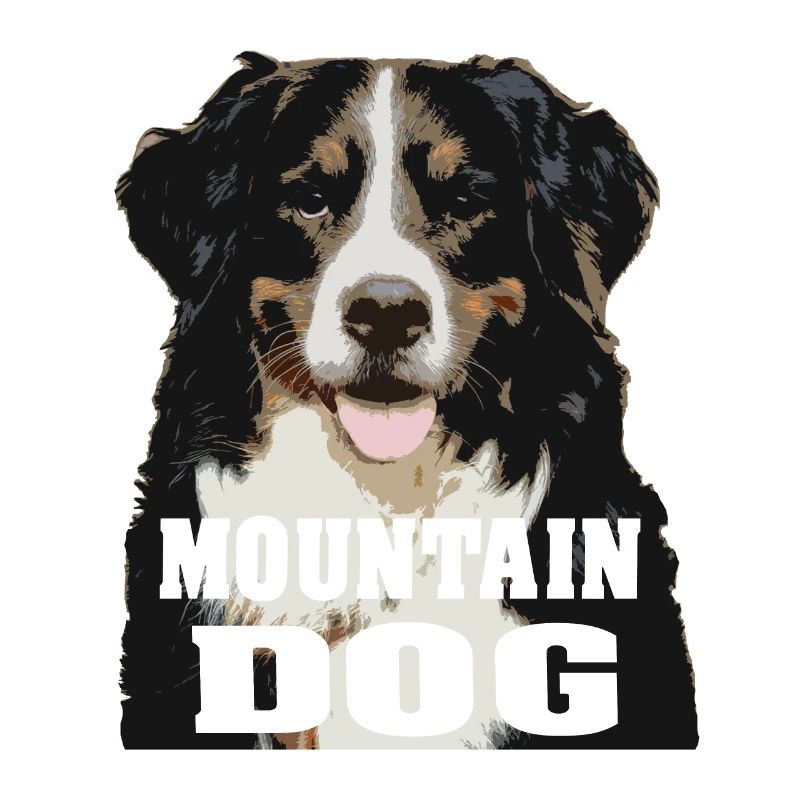 Berner Sennenhund