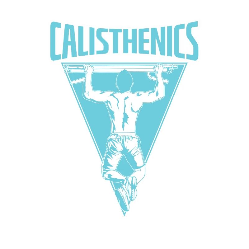 Calisthenics pull-up bar