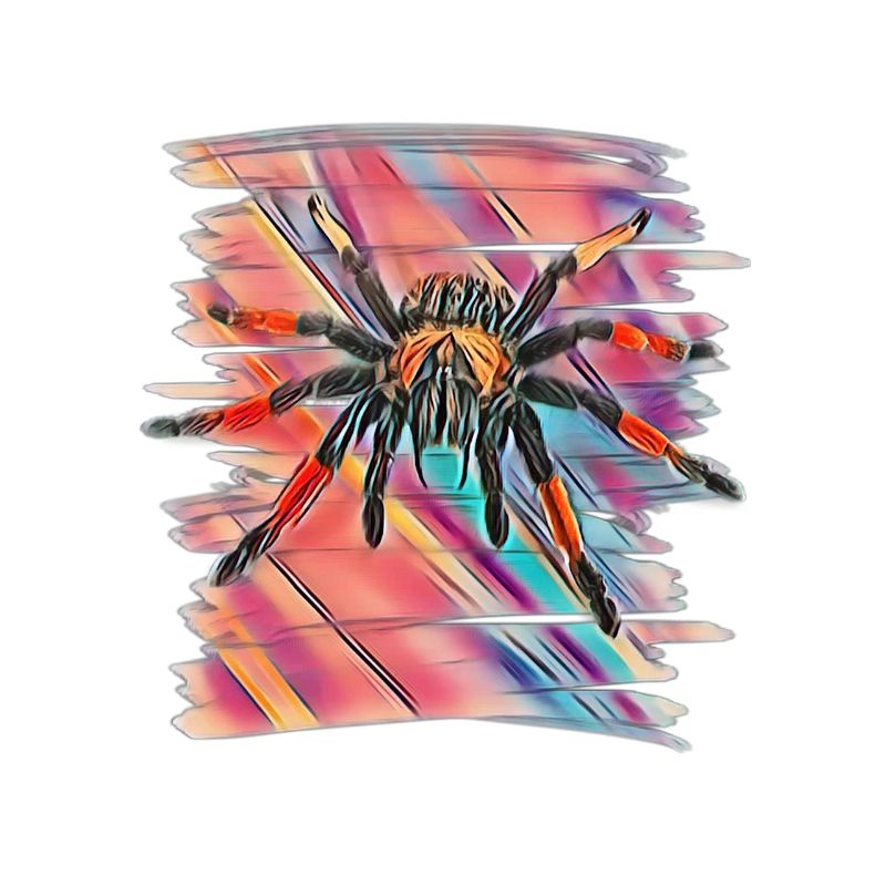 Tarantula
