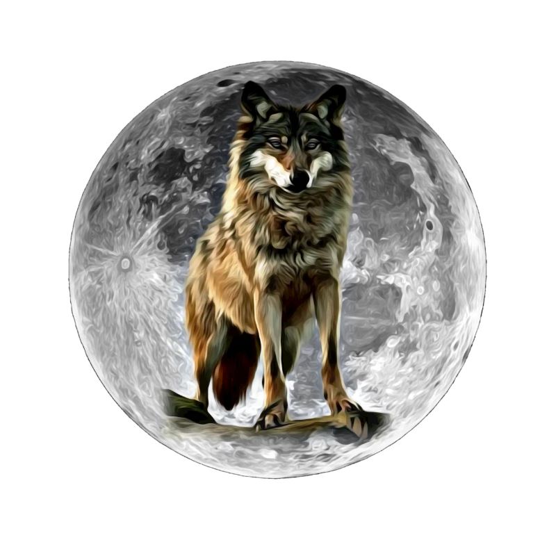 wolf