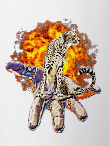 cheetah