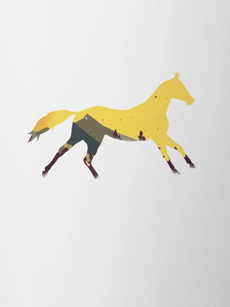 Wildpferd Pferd Pferde Wildpferde